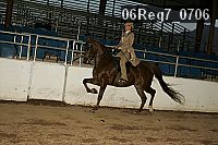 06reg7_0706 proof