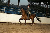 06reg7_0707 proof