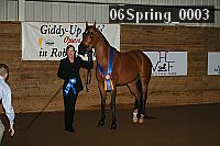 06spring_0003 proof