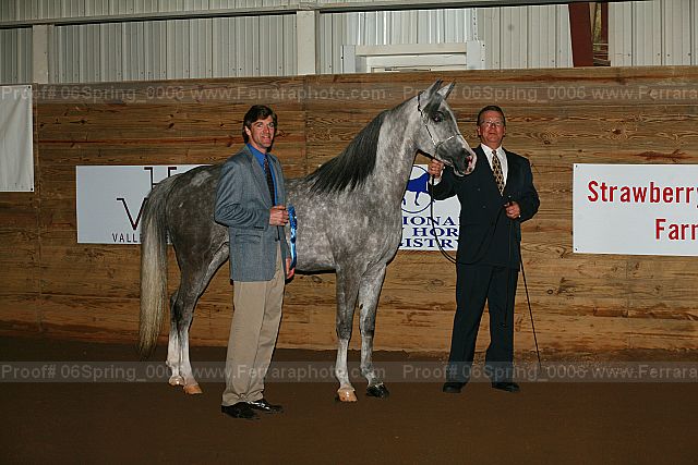 Proof 06spring_0006