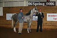 06spring_0006 proof