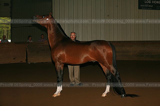 Proof 06spring_0009