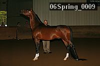 06spring_0009 proof