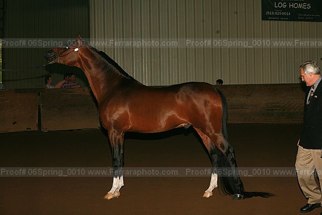 Proof 06spring_0010