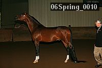 06spring_0010 proof