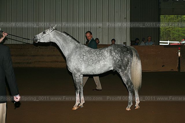 Proof 06spring_0011