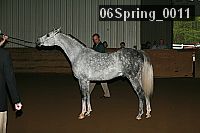 06spring_0011 proof