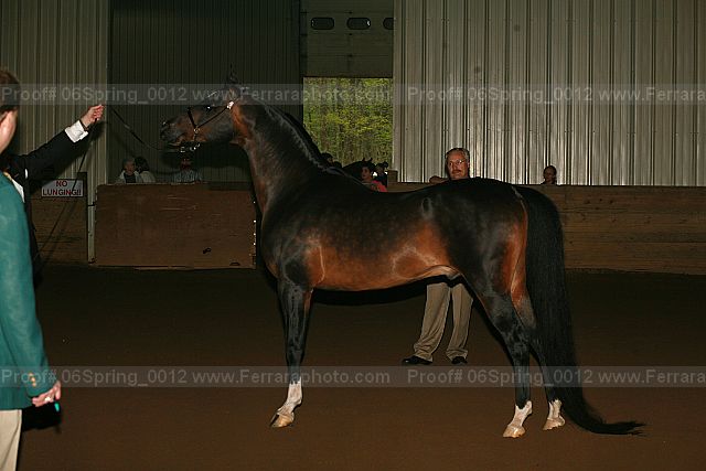 Proof 06spring_0012