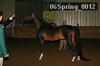 06spring_0012 proof