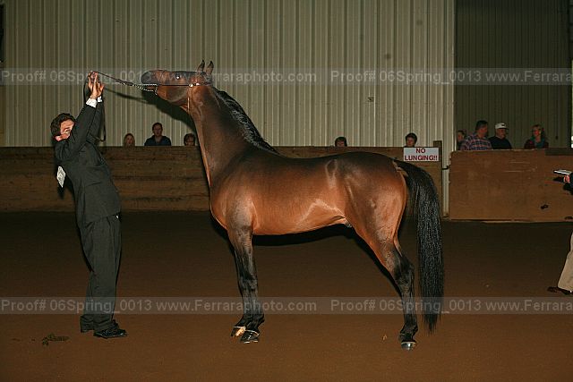 Proof 06spring_0013