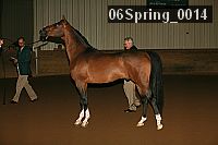 06spring_0014 proof