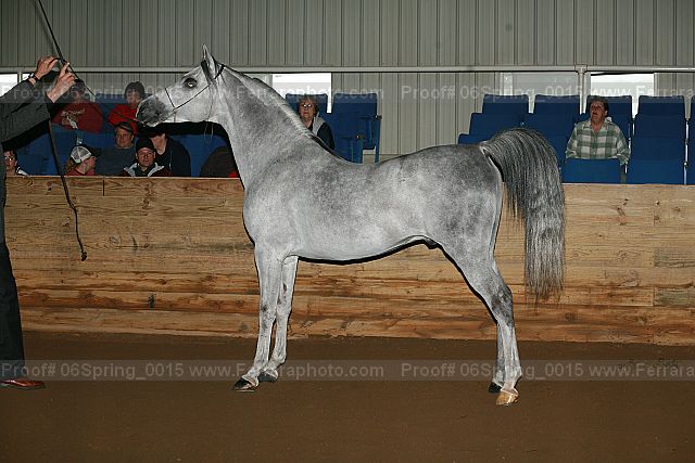 Proof 06spring_0015