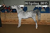 06spring_0015 proof