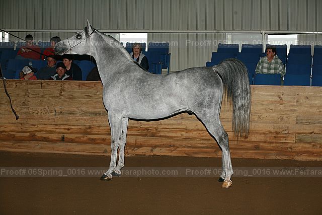 Proof 06spring_0016