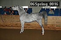 06spring_0016 proof