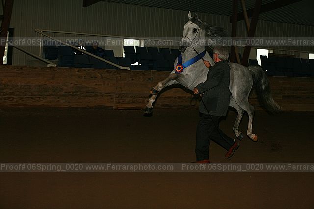Proof 06spring_0020