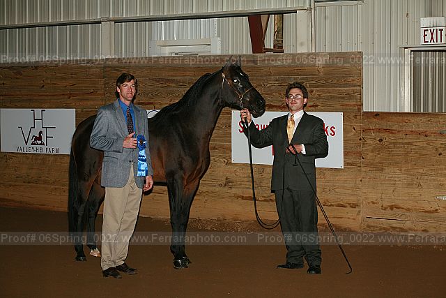 Proof 06spring_0022