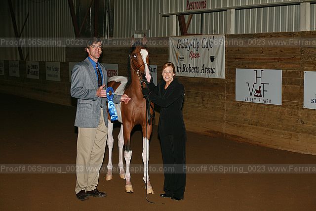 Proof 06spring_0023