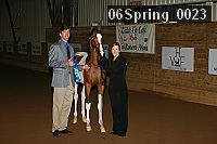 06spring_0023 proof