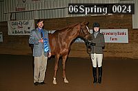 06spring_0024 proof