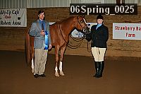 06spring_0025 proof