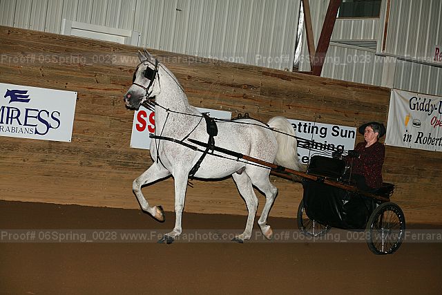 Proof 06spring_0028