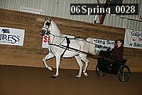 06spring_0028 proof