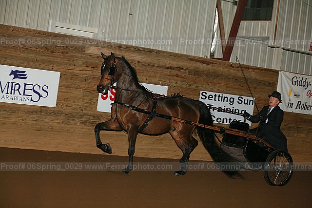 Proof 06spring_0029