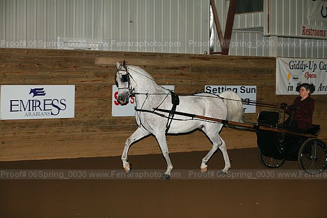 Proof 06spring_0030