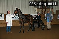 06spring_0031 proof