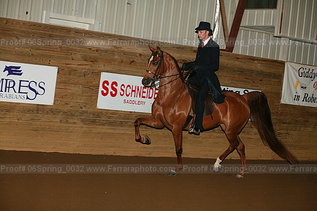 Proof 06spring_0032