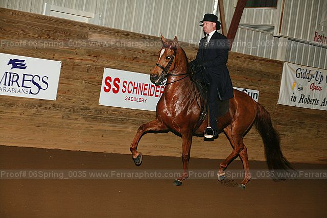 Proof 06spring_0035