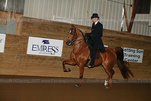 Proof 06spring_0037