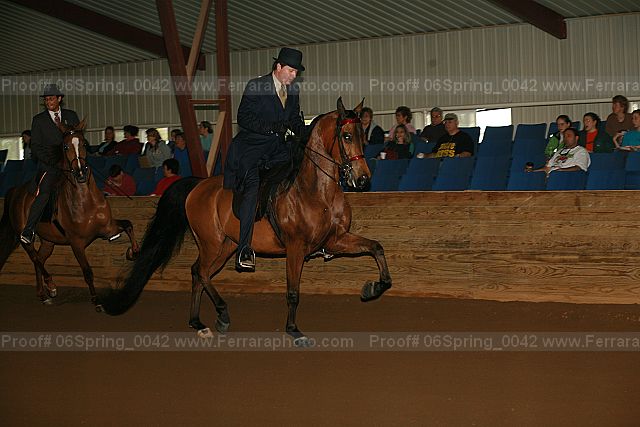 Proof 06spring_0042