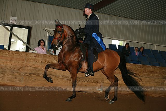 Proof 06spring_0044