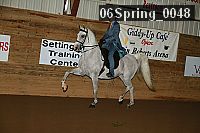 06spring_0048 proof