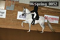 06spring_0052 proof