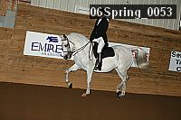 06spring_0053 proof