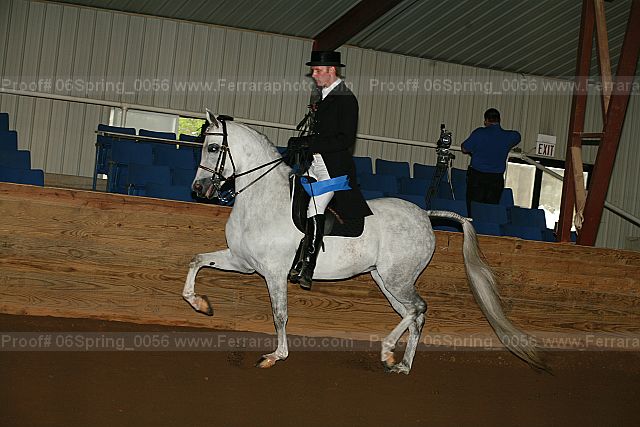 Proof 06spring_0056
