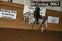 06spring_0063 proof