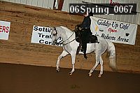 06spring_0067 proof