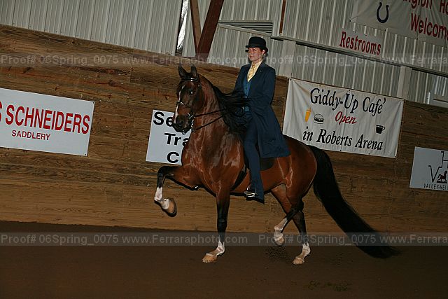 Proof 06spring_0075