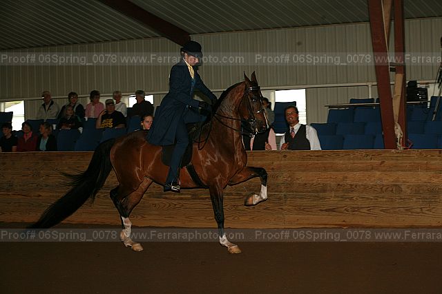 Proof 06spring_0078