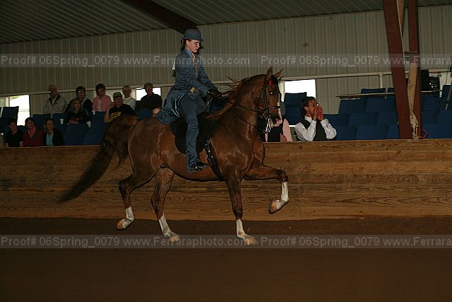 Proof 06spring_0079