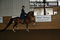 06spring_0080 proof