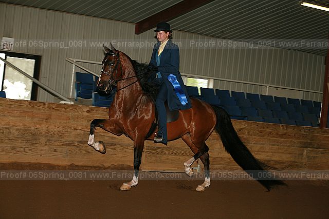 Proof 06spring_0081
