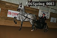 06spring_0083 proof