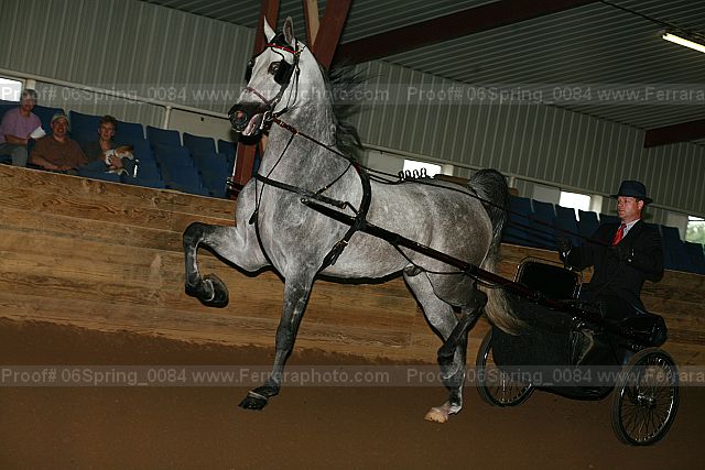 Proof 06spring_0084