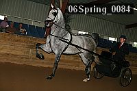 06spring_0084 proof