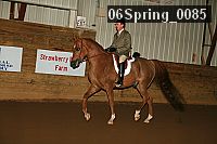 06spring_0085 proof